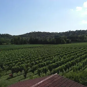 Il Vigneto Affittacamere Casa di campagna
